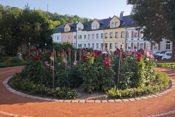 Dahliengarten 2026