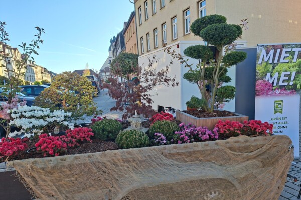 Blumenmarkt 2026