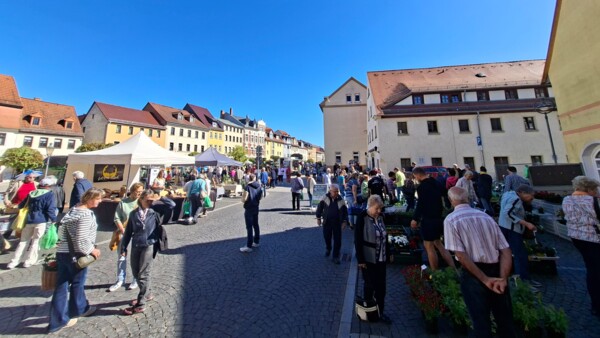 Blumenmarkt 2026