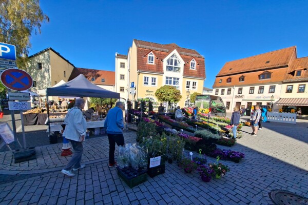 Blumenmarkt 2026