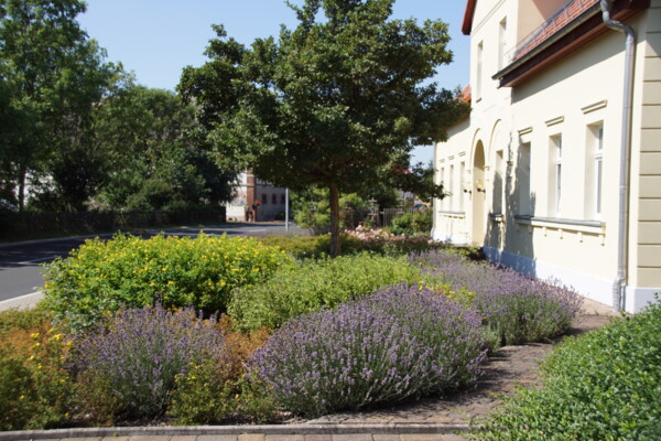 Das Bürgerhaus Schloßig - Seitenansicht rechts