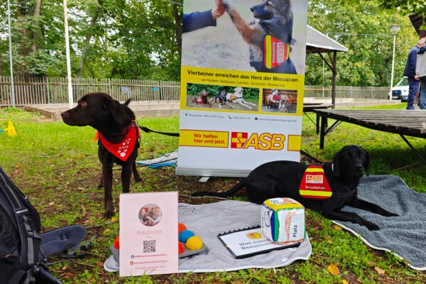 Kinderfest 2026 - Infostand ASB Besuchshundedienst Gera Kinderfest 2026 - Infostand ASB Besuchshundedienst Gera
