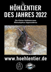 Höhlentier des Jahres 2022, Foto Klaus Bogon