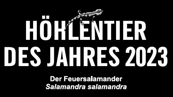 Bildtitel- Höhelntier des Jahres 2023