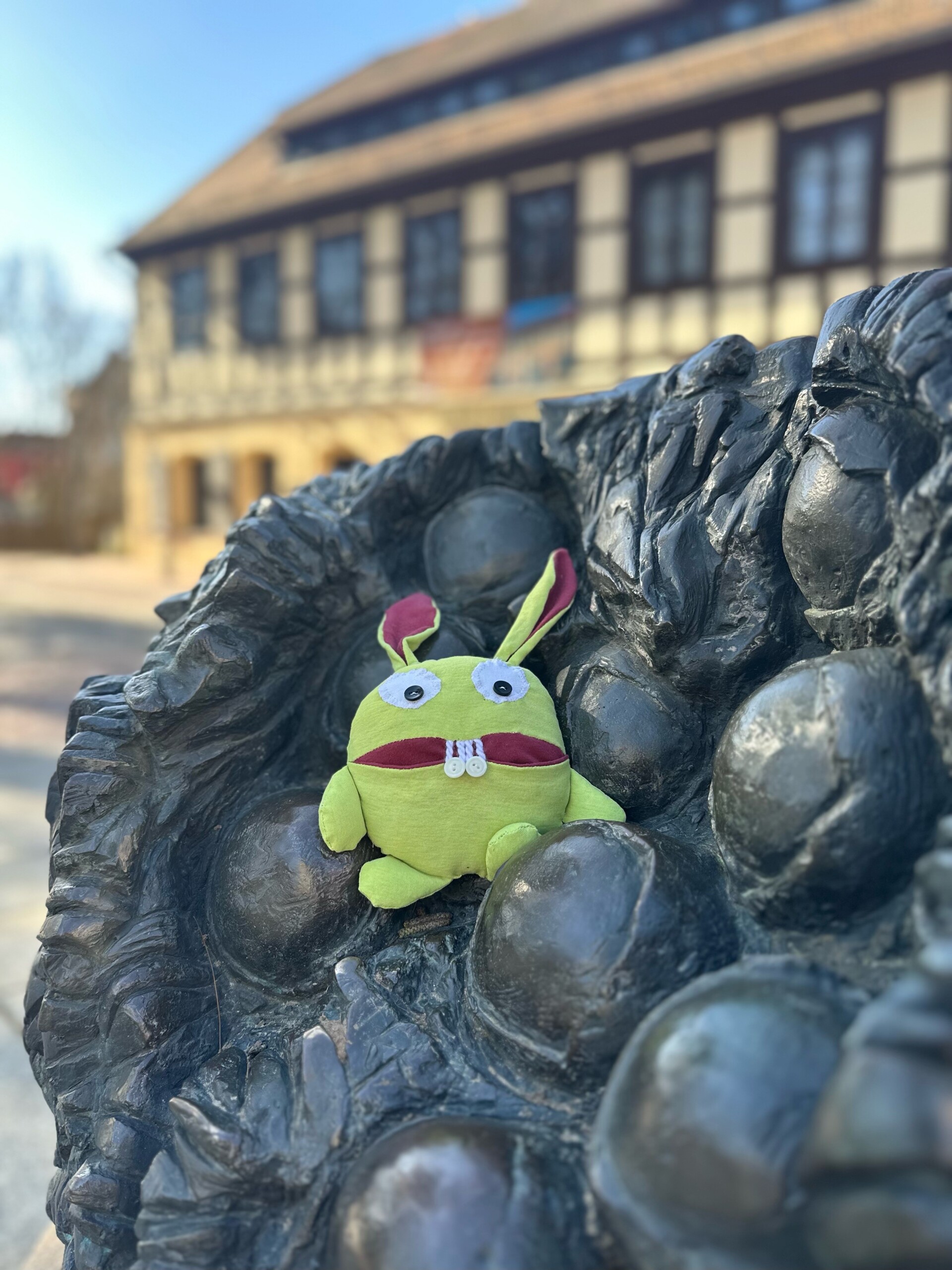 Knopfhase auf Steinnussfrucht