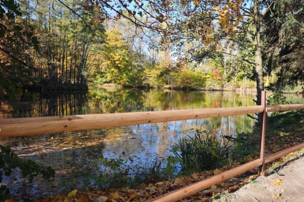 Teich in Nöbdenitz hinter der Kita Rasselbande Teich in Nöbdenitz hinter der Kita Rasselbande