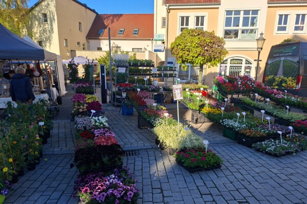 Blumenmarkt 2026