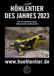 Höhlentier des Jahres 2023, Foto Klaus