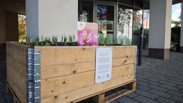 Safrankasten vor dem Bürgerservice