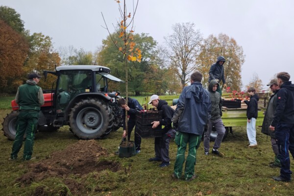Vorbereitung fürs Baumpflanzen