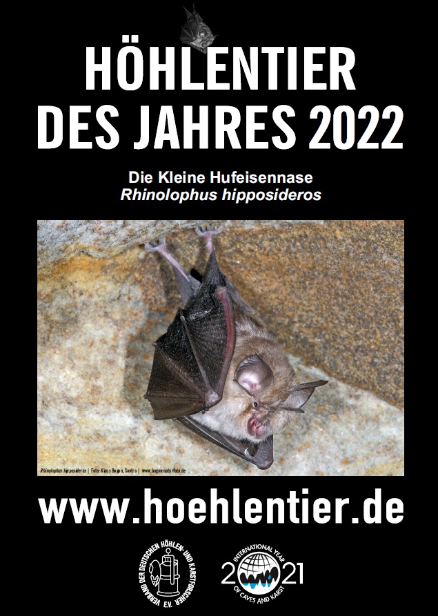 Höhlentier des Jahres 2022, Foto Klaus Bogon