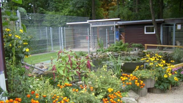 Tierheim - Blick zur Hundezwingeranlage