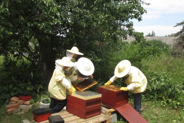 Regelschule Dobitschen - Imkerei Regelschule Dobitschen - Imkerei